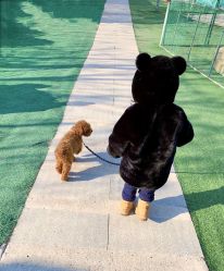 -萌宠亲子动物乐园(槐房万达店)