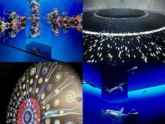 -济南喜来登酒店