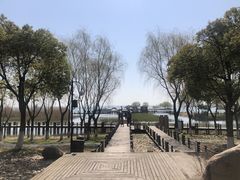 -太湖湖滨国家湿地公园-停车场