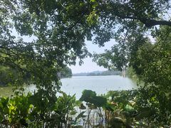 -东湖落雁景区