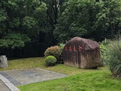 -同里国家湿地公园