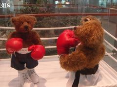 -济州岛泰迪熊博物馆