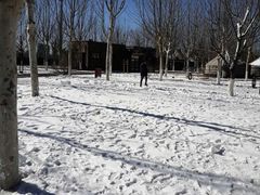 -九十九顶毡房(阜石路店)