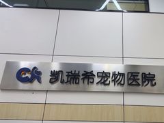 -凯瑞希宠物医院·狂犬免疫·微创·皮肤科