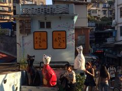 -猫咪博物馆(顶澳仔猫街店)