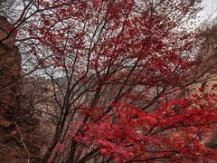 -崂山九水游览区