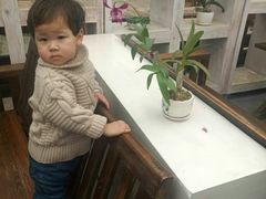 -兰陵国家农业公园