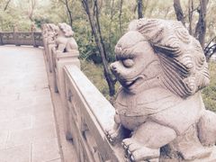 iphone_upload_pic-焦山风景区