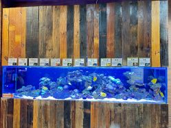 -Zoolung Zoolung动物主题公园(海信广场店)