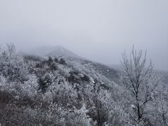 -阳台山自然风景区