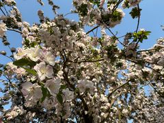 -元大都城垣遗址公园