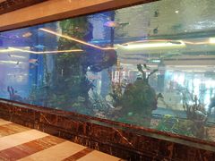-碧桂园凤凰城酒店(南京店)