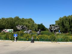 -北京野生动物园