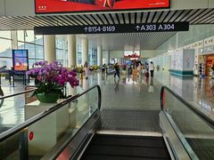 -广州白云国际机场-T2航站楼