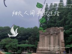 -音乐台