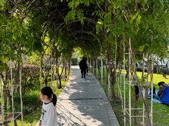 -北极阁公园