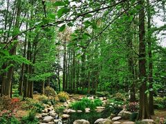 -上海共青森林公园