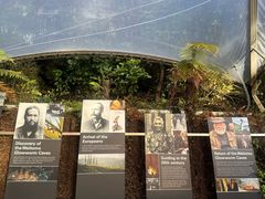 -怀托摩萤火虫洞