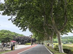 -宜兴龙背山森林公园