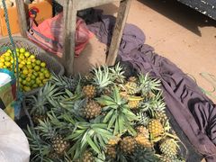 -尼甘布海鲜市场