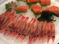 -黑松白鹿(崇文门新活馆店)