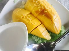 -Jungle Kitchen