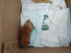 -百金通黄金回收首饰定制维修(珠江路总部)