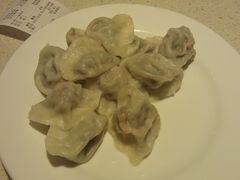 韭菜肉饺子-岳姥姥饺子(泺文路店)