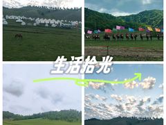 -关山草原