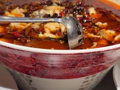 -羊门客在·烤盐池滩羊·川菜