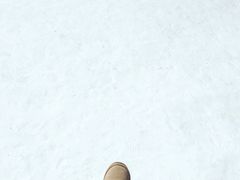 -沈阳奥体冰雪嘉年华