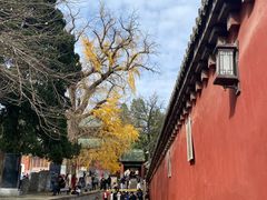 -少林寺欢喜地素斋馆