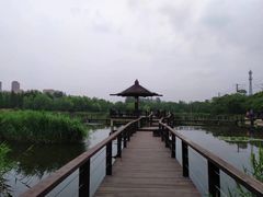 -前关湿地公园