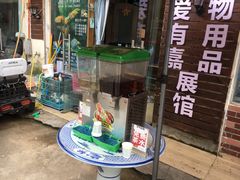 -明明手养鹦鹉(堤角花鸟宠物大世界店)