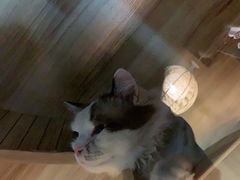 -白兔子密室(长寿路店)