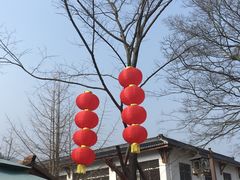 -长兴慧子土特产茶行