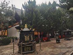 -秋霞圃
