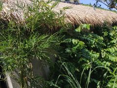 -味多美蛋糕(耿庄店)