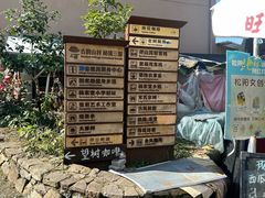 -杨家堂村