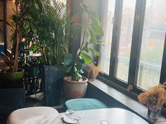 -the rug 飞毯 (朝阳公园店)