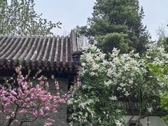 -宣武艺园