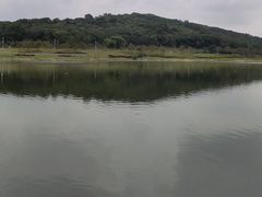 -羊山湖公园