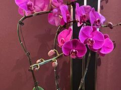 -丰收日(杨浦公园店)