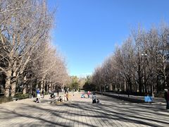 -玲珑塔公园