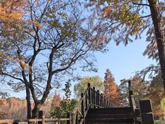 -贡湖湾湿地公园