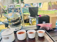 -武陵山森林公园