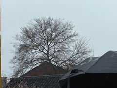 -西园戒幢律寺