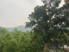 -广州市帽峰山景区