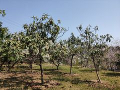 -中国移动南方基地