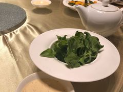 南美冰草-上海金桥红枫万豪酒店-万豪中餐厅